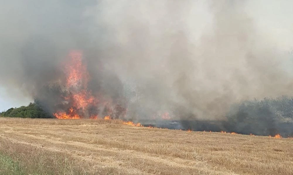Καλύτερη η εικόνα της φωτιάς στη Βόλβη Θεσσαλονίκης (εικόνες)